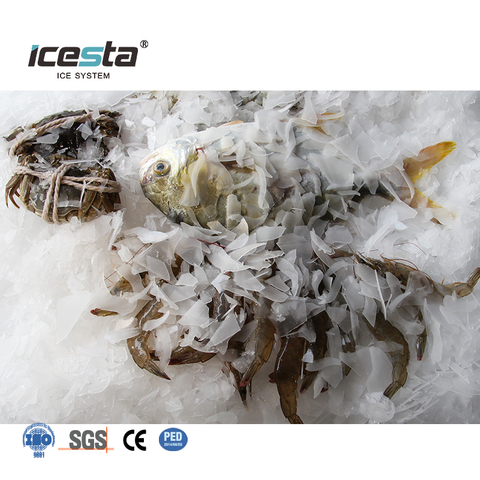 ICESTA 10 Ton Bawat Araw Industrial Flake Ice Machine