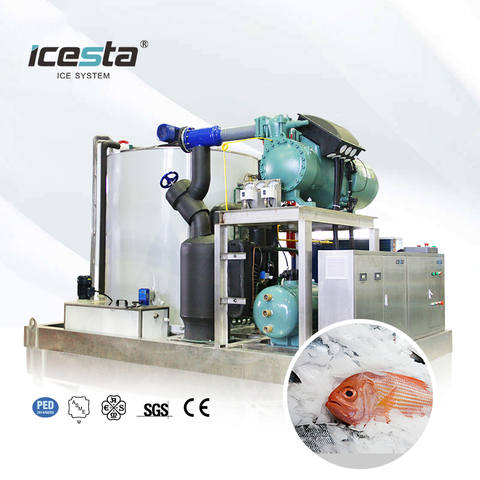 ICESTA 25 Ton Industrial Commercial Flake Ice Machine | Malakas na Katatagan