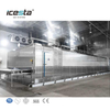 Icesta congelamento r&aacute;pido novo design de alta qualidade longa vida &uacute;til automic t&uacute;nel industrial freezer para resfriamento peixe