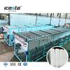 ICESTA Buong Awtomatikong 40T/Araw na Direct Cooling Block Ice Making Making