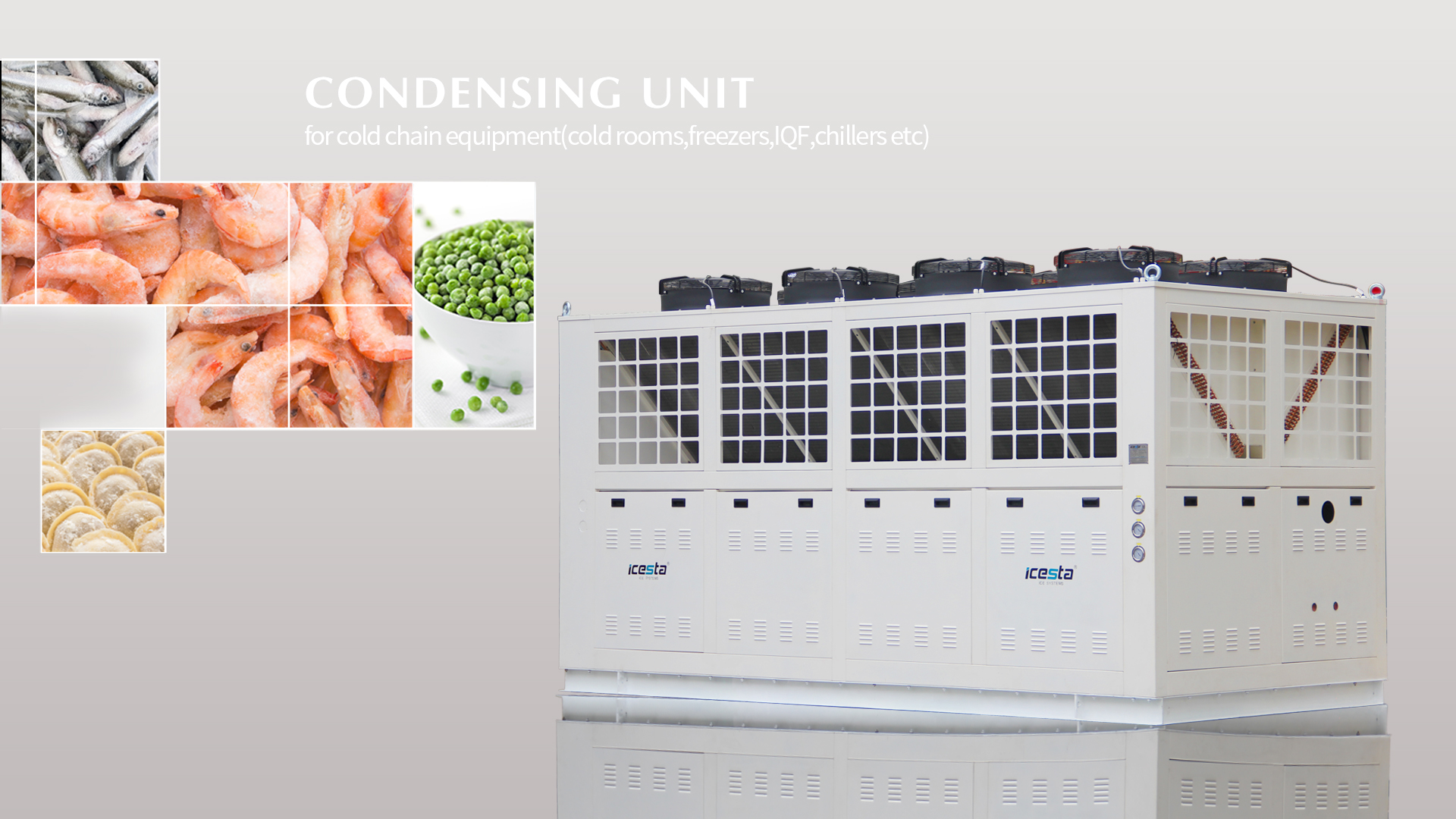 Makipag-ugnayan sa horizontal freezer at Condensing unit ICESTA Mababang temperatura $20000-$50000