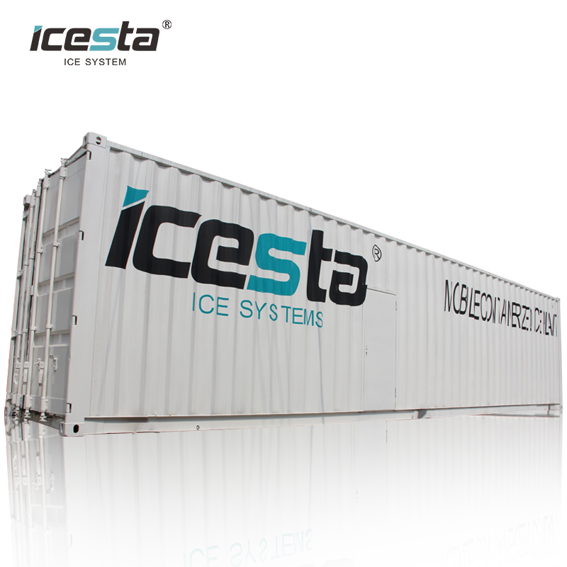 Awtomatikong Ice Cube Machine na may Ice storage at Screw Packing system na 12 set, I-export sa Australia