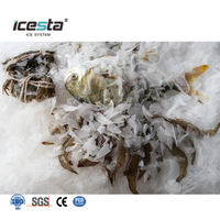 ICESTA 1-5 Ton Marine Salt Water Flake Ice Machine para sa Bangka
