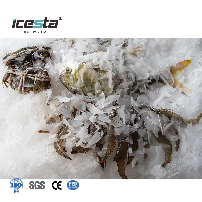 ICESTA เครื่องทำน้ำแข็งเกล็ดน้ำทะเลขนาด 10-25 ตัน Shipboard