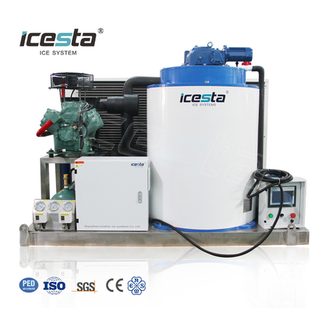 ICESTA 5t 10t 15 тонн в день промышленная машина для производства чешуйчатого льда