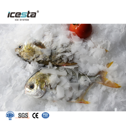 ICESTA เครื่องทำน้ำแข็งเกล็ดสแตนเลสเกรดอาหาร 3-10 ตันต่อวัน